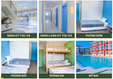 Bên Trong Trường