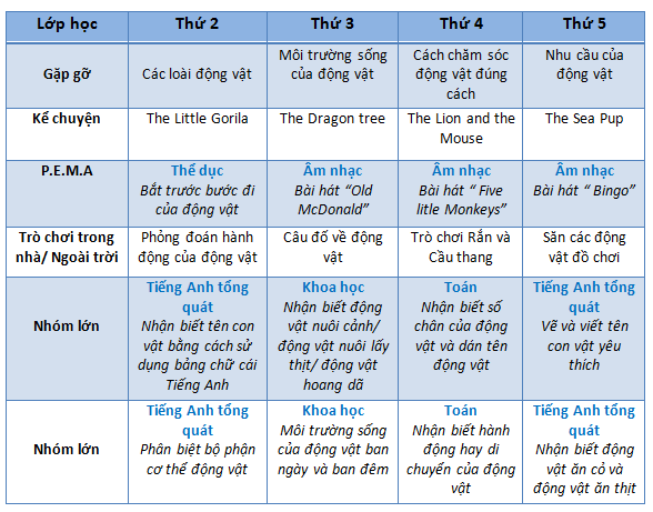 Ke-hoach-hoc-tap-trong-tuan-chuong-trinh-nha-tre-mau-giao-Cebu-ESL