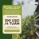 Promotion Beci - Eduzone